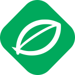 Green party values - ecology